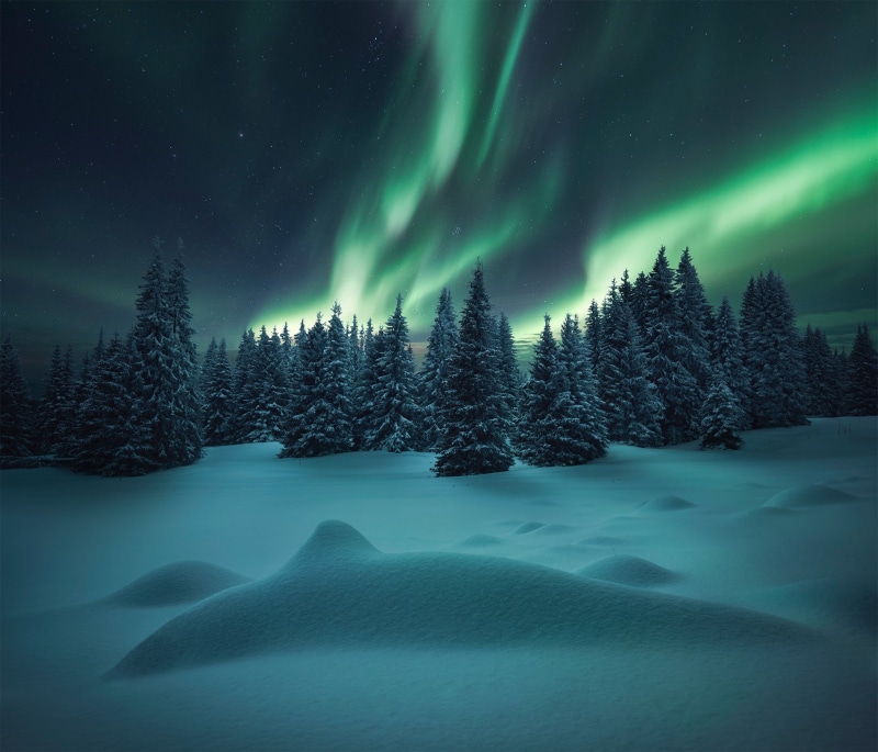 1080P, winter, snow, the snow, forest, ate, Northern lights