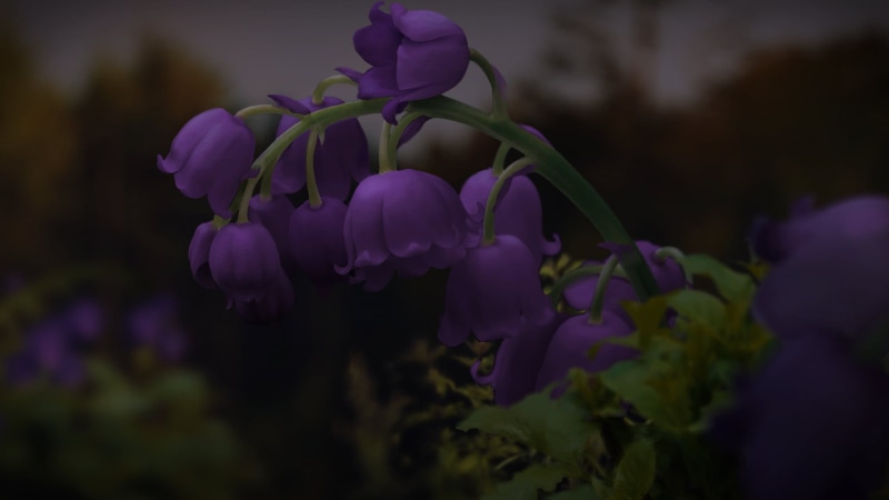 Castlevania (anime), flowers, nature, 1080P