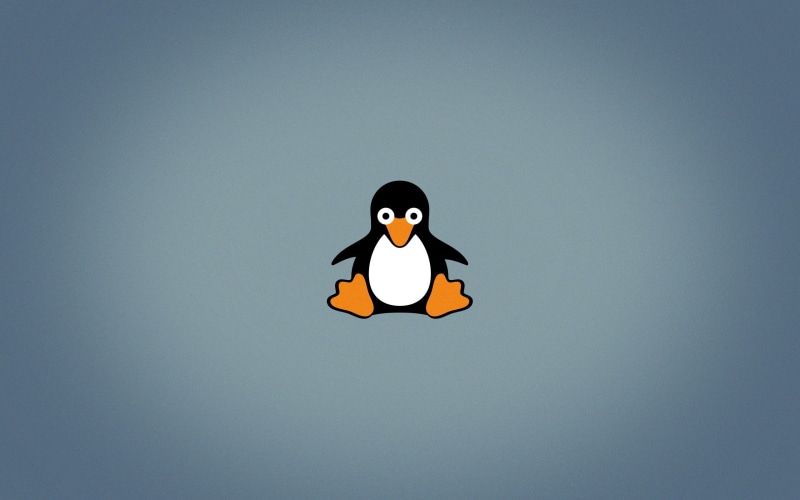 fun, human representation, bird, no people, representation, tux linux open source penguins logo, copy space, cut out, single object, 2K, indoors, nature