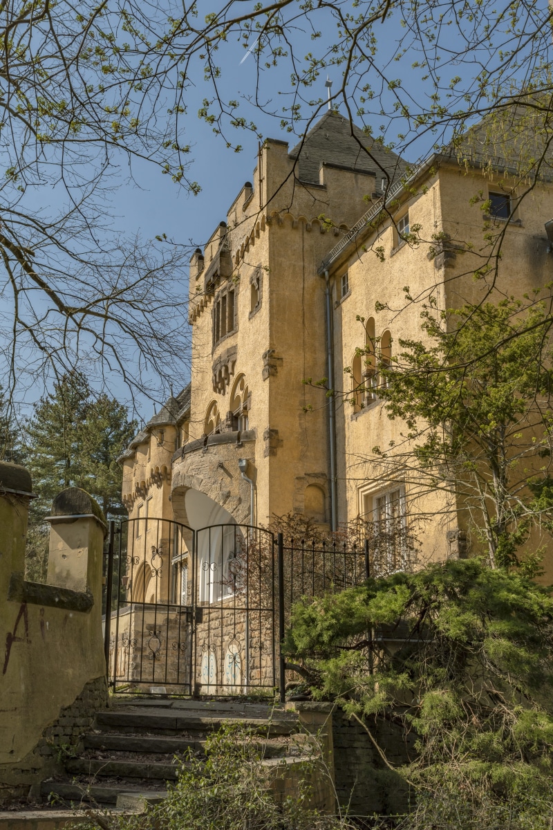 belief, old, built structure, low angle view, building, gothic, building exterior, tree, sunlight, no people, tip, day, plant, ruined, sky, middle ages