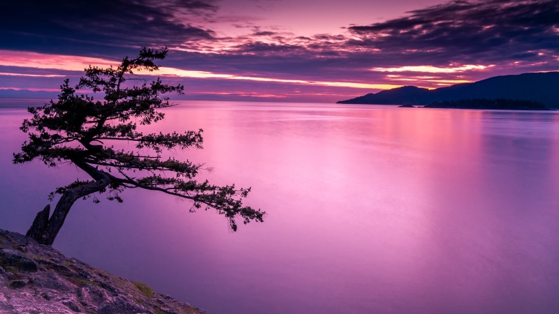 Serene, D7000, Juniper Tree, British Columbia, mountain, body of water, body, water, island, sky, Clouds, 4K, lake, tree, Pacific Ocean, coastline, Point