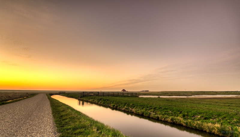 field, Netherlands, serene, Low Countries, 35mm, bright, beautiful, HDR, concrete, beside, polder, high dynamic range, daylight, ditch, zon, road  16, tripod
