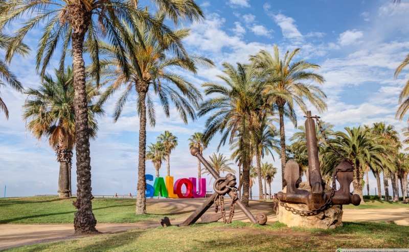 jaume, plant, Spain, salou, cloud - sky, 4K, trunk, nature, outdoors, full length, sunlight, catalonia, land, palm tree, leisure activity, day, promenade