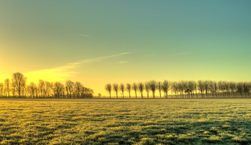 sky, Noord-Holland, light, grass, Nikkor, beauty, winter, meadow, Netherlands, beautiful, outdoor, meadows, bomen, Nederland, HDR, handheld, outdoors, daylight