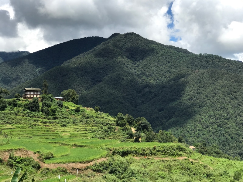foliage, wood, day, scenic, farmhouse, plant, mountain peak, surrounded, summer, trees, no people, near, sky, farm, cropland, alps, himalayas, land, brown