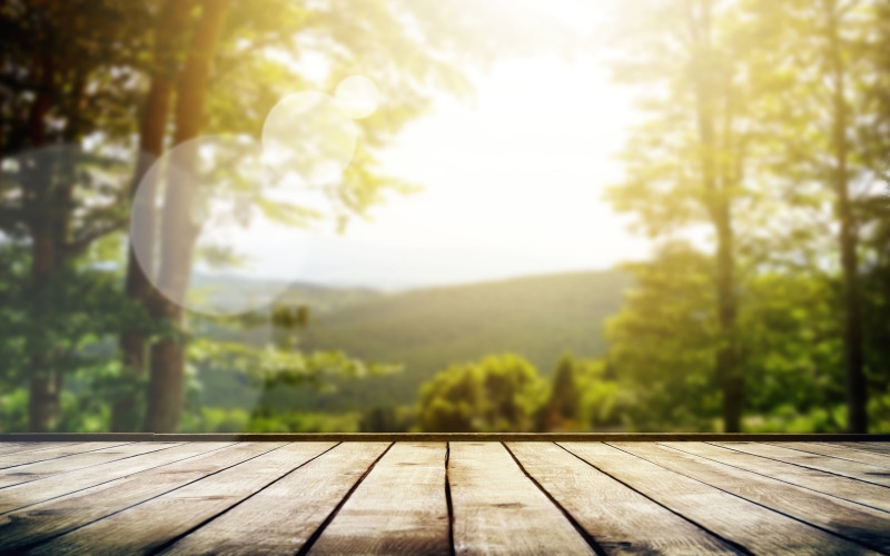 desk, trees, woodland, sunny, growth, focus, lens, Board, sunbeam, space, backgrounds, sunlight, brown, rustic, macro, sky, backdrop, wood, bokeh, the sky