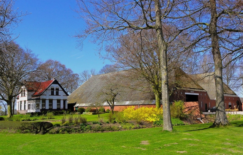 lawn, no people, residential district, grass, tree, trees, clouds, Farm, Netherlands, countryside, house, farm, plants, built structure, bare tree, land