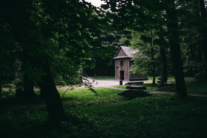 landscape, rural Scene, outdoors, green, nature, tranquility, building exterior, beauty in nature, growth, leaves, no People, architecture And Buildings