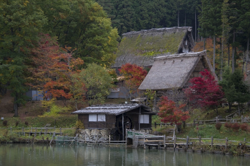 lake, nature, river, forest, outdoors, village, building, Mill, rural Scene, 4K, relaxation, change, japanese garden, plant, Japan, no people, Tranquility