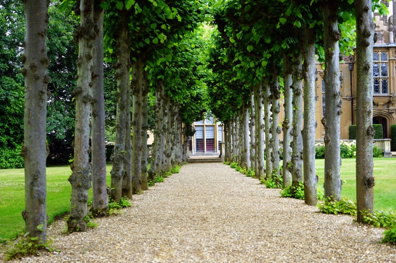 scenic, photography, recreation, residential, tall, garden, knebworth house, old, grass, colonnade, relaxation, property, discovery, gardening, famous
