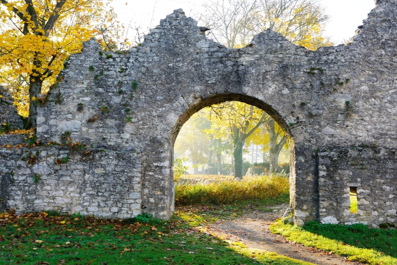 the past, arch, history, nature, grass, fairy tales, old ruin, plant, autumn, tuttlingen, masonry, knights castle, 5K, wall - building feature, growth
