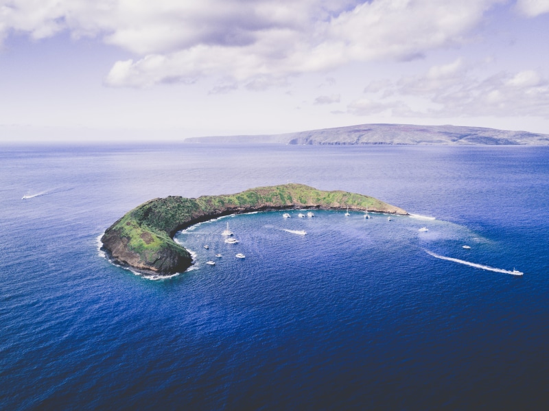 Molokini, beauty in nature, bay, boat, tranquility, transportation, animals in the wild, aerial View, outdoors, body, cloud - sky, travel Locations, sea