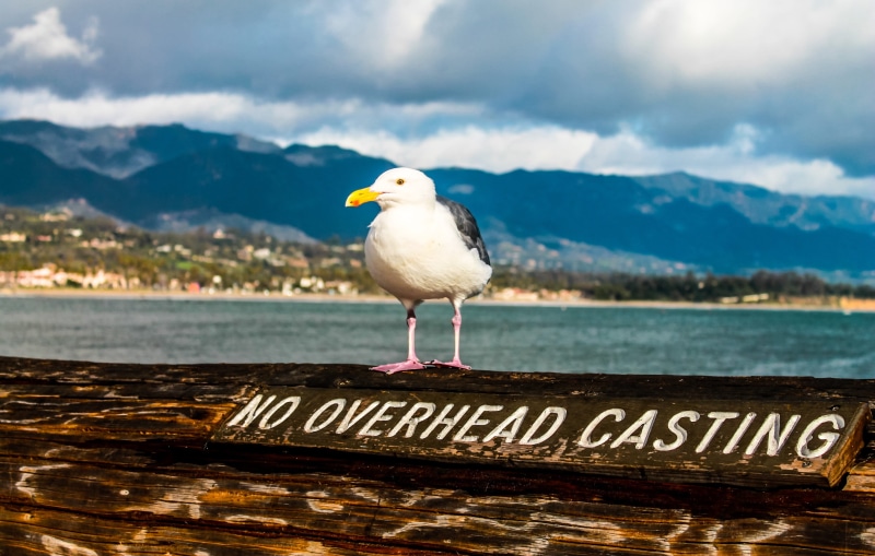 europe, wooden, outdoors, black, sand, nature, no people, wood - material, usa, blue, perching, santa, seascape, focus on foreground, water, sky, america