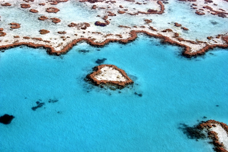 2K, Great Barrier Reef, Queensland, Coral reef, Australia