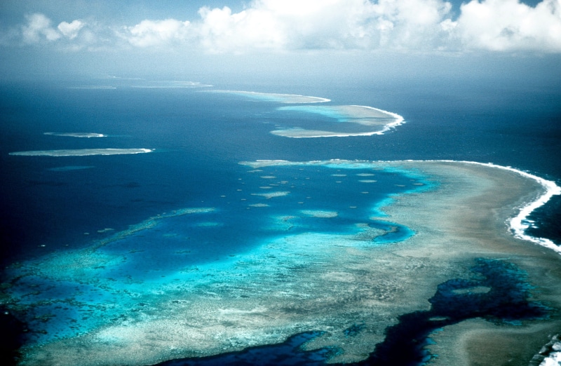 1080P, reef, natural, water, ocean, sea, great Barrier Reef, australia