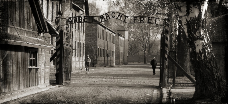 direction, tree, bare tree, photography, the museum, auschwitz, architecture, old, grayscale, macht, arbeit, no people, nature, building exterior, history