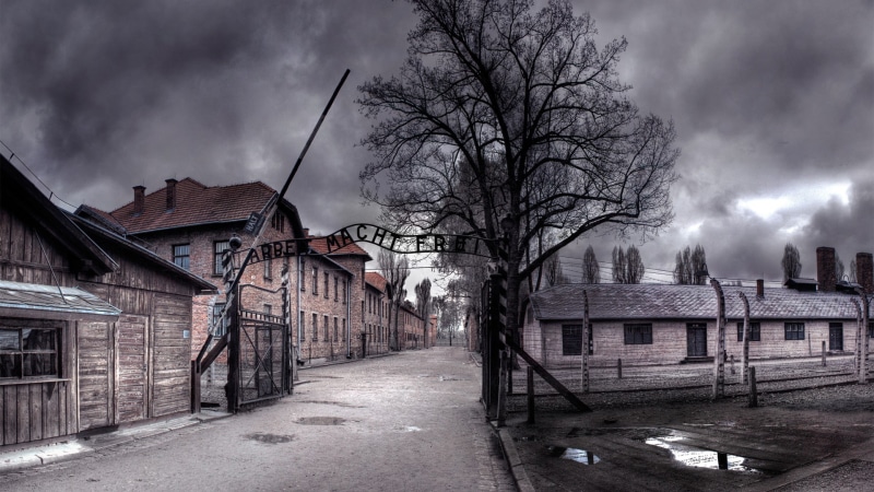 tree, Auschwitz, spooky, alley, nature, built structure, house, residential district, building exterior, storm, outdoors, street, architecture, cloud - sky