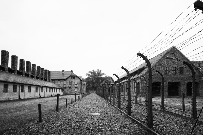 cell, 4K, building, copy space, boundary, war, building exterior, memory, nature, direction, military, auschwitz, jews, residential district, built structure