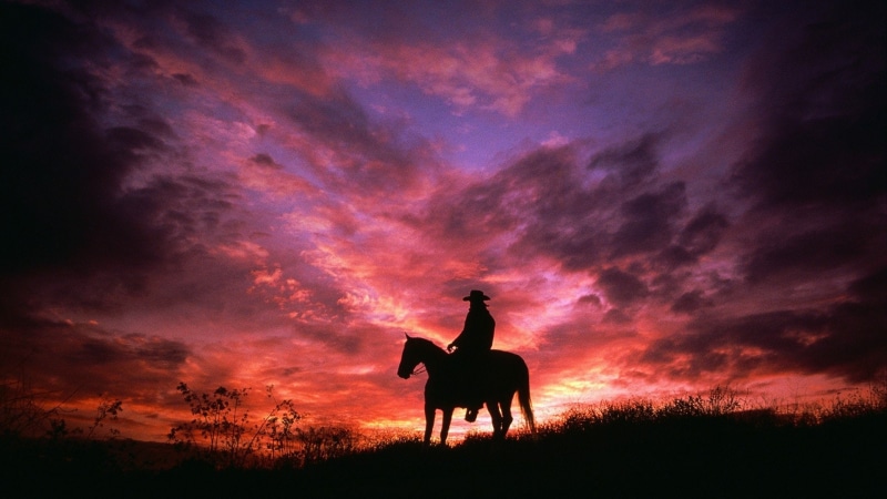 Sunset, 1080P, Silhouette, Horse, Sky, Cowboy, Photography, Pink, Purple