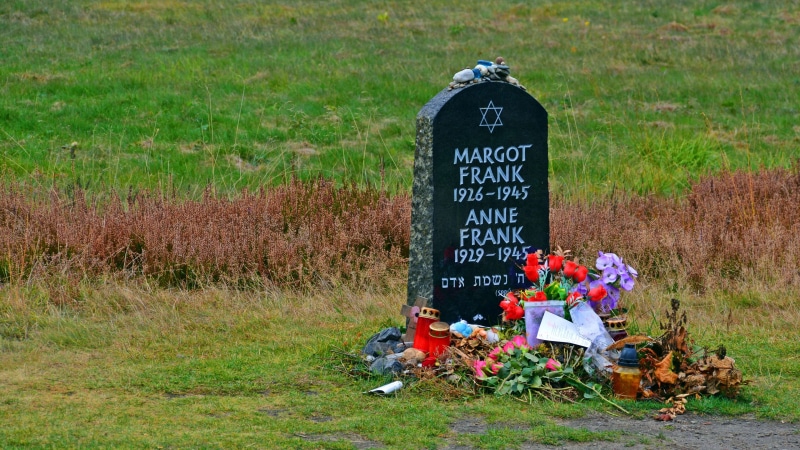 plant, no people, memorial, history, nature, green color, tree, text, 4K, tombstone, sign, message, western script, konzentrationslager, field, grass