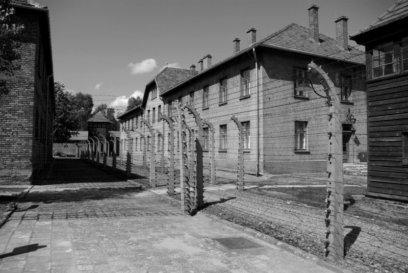 war, abandoned, street, architecture, danger, city, nazism, sunlight, outdoors, built structure, barbwire, residential district, cloud - sky, crime, house