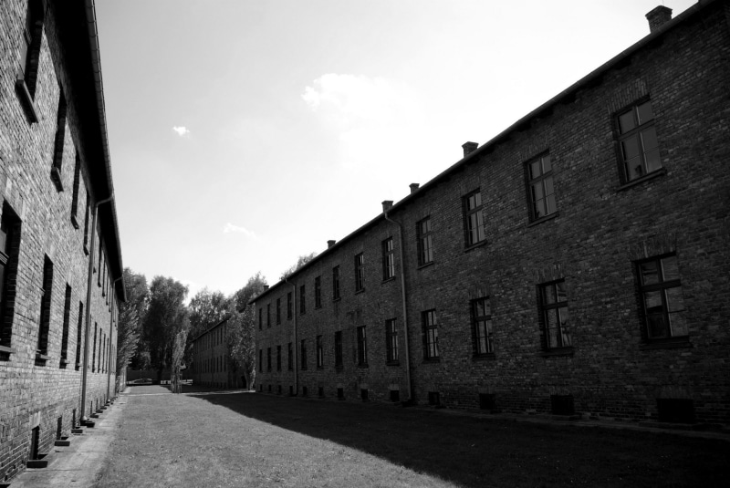 sky, footpath, war, museum, auschwitz-birkenau, architecture, building, birkenau, alley, residential district, house, 1080P, nazism, history, poland, camp
