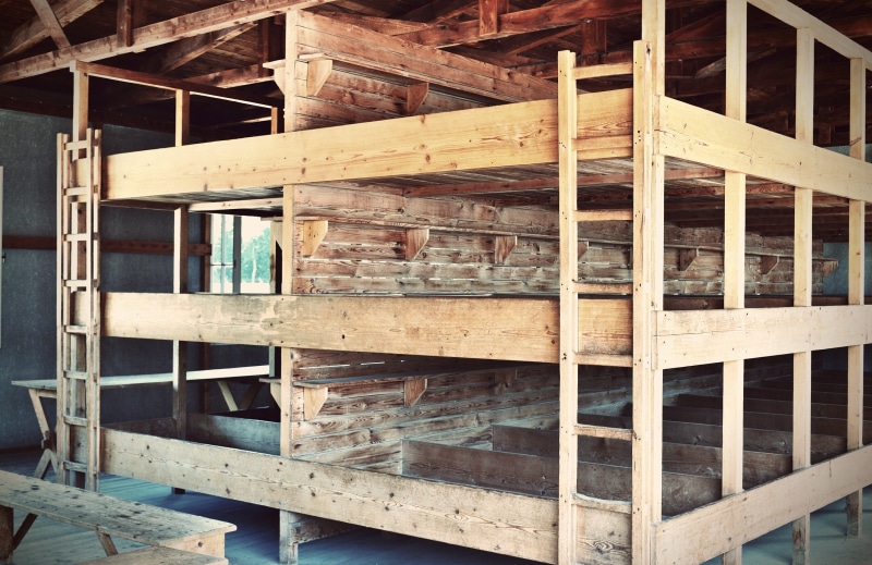 mass murders, terrible, large group of objects, dachau, konzentrationslager, construction site, wood - material, building, past, death, abundance, timber