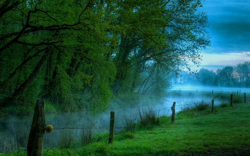 outdoors, river, tree, field, plant, beauty in nature, tranquility, non-urban scene, fence, nature, day, forest, boundary, 1080P, land, barbed wire, no people