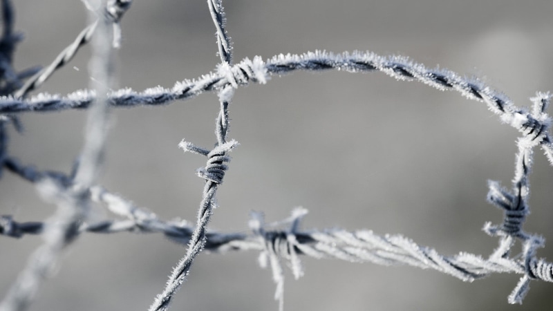 frozen, snowflake, no People, focus, pattern, beauty in nature, white, january, ice Crystal, shallow, rope, frost, blue, focus on foreground, season, backgrounds