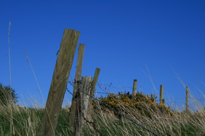 plant, no people, growth, tranquil scene, wood - material, post, arid climate, tranquility, grass, clear sky, Scotland, white, UK, 2K, wooden post, concrete