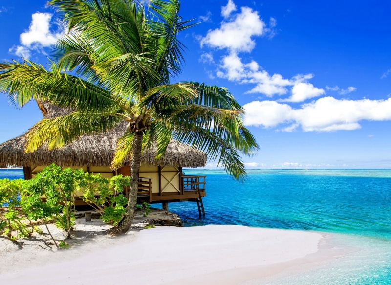vacation, day, tranquility, palm trees, tranquil scene, beauty in nature, tropical, scenics - nature, water, palm tree, beach, outdoors, cloud - sky, summer