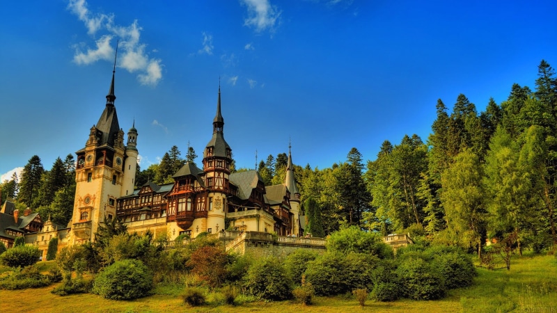 forest, trees, field, near, green color, architecture, place of worship, nature, travel destinations, landscape, castle, high, Tourism, plant, religion