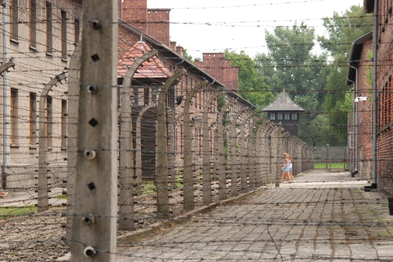 wall, day, concentration camp, architecture, window, auschwitz, real people, building, house, destruction, cell, watchtower, one person, second world war