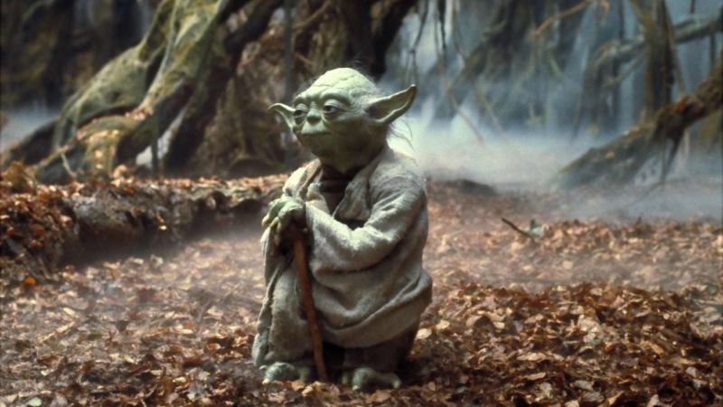 looking, animal wildlife, Star Wars: Episode V The Empire Strikes Back, Star Wars, front view, land, animals in the wild, tree, nature, mammal, full length