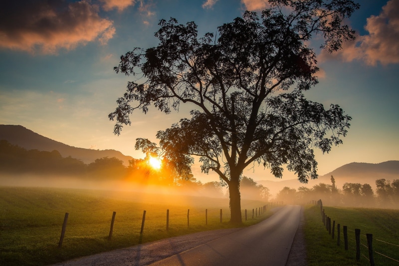 Tennessee, Great Smoky Mountains National Park, morning, tree, National Park great smoky mountains, sunrise, Tn, 1080P, field, dawn, road, Great Smoky Mountains