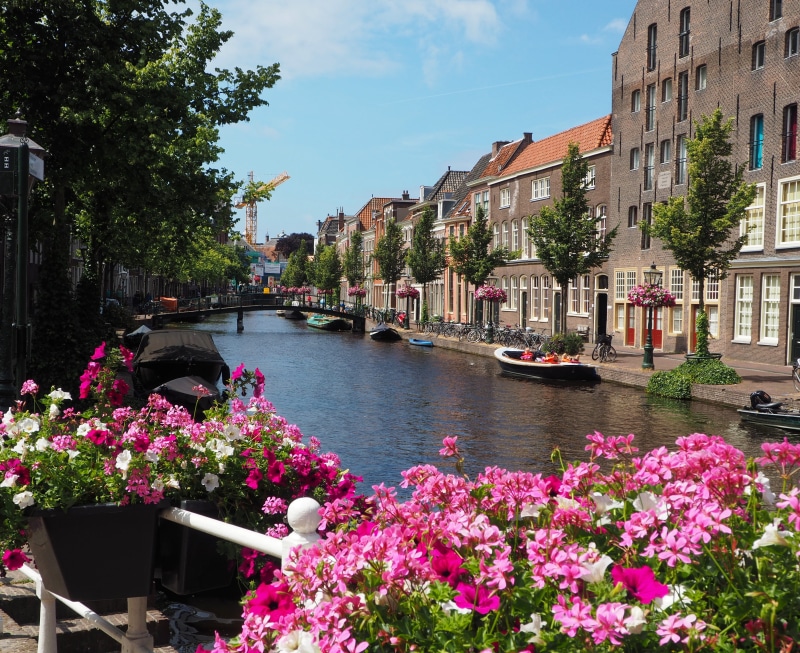 flower, 4K, South Holland, Netherlands, boats, Flowers, river, Home, mode of transportation, incidental people, Bridge, transportation, Suffering, nature