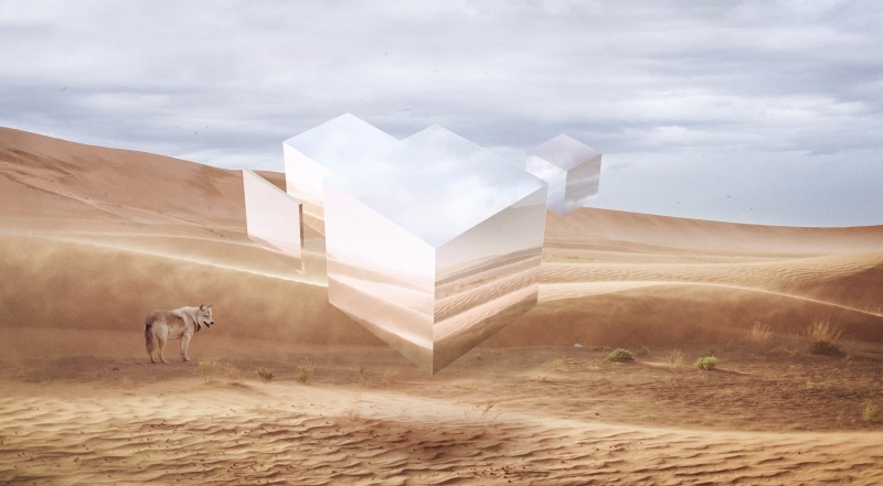 no people, Cube, Design, Solitary, domestic animals, digital composite, Desert, vertebrate, pets, Wolf, landscape, mammal, environment, cloud - sky, earth