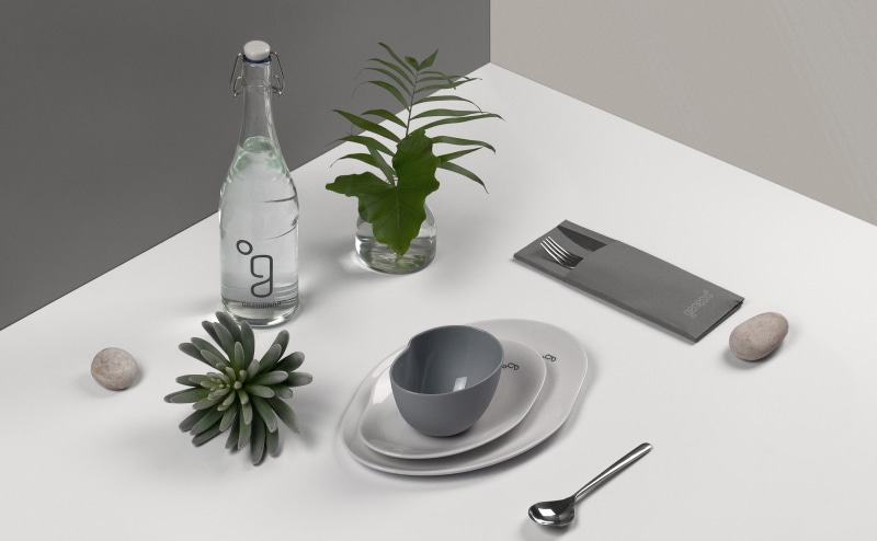 plant, cup, plant part, Dishes, Decoration, green color, Brand, Aero, Bowl, plates, products, tableware, white color, eating utensil, gastronomy, Design