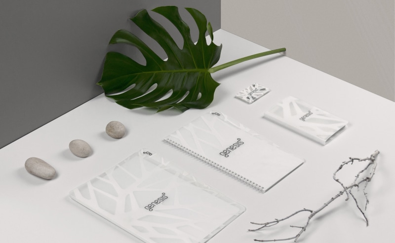 Table, studio shot, plant, creativity, leaf, high angle view, nature, white color, container, 4K, green color, houseplant, Design, Creative, Brand, Decoration