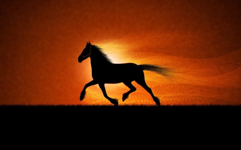 2K, creative, creative and graphics, horse, graphics, running, hd