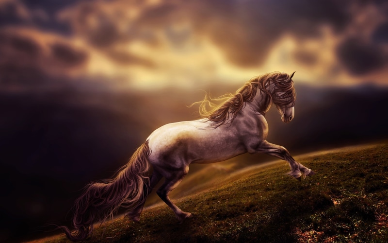 2K, Rendering, Running, Horse, Art
