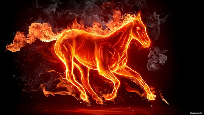 Horse, Fire, Smoke, 1080P