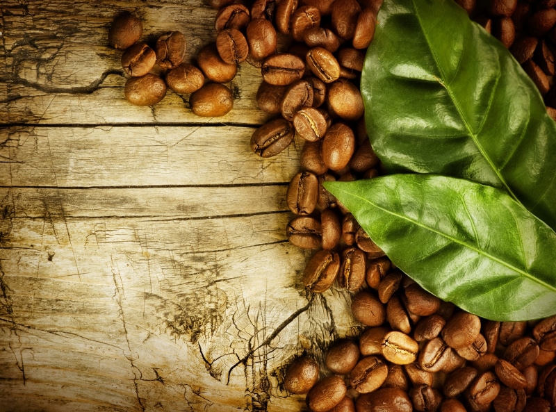wood - material, no people, plant part, directly above, Leaves, Food and Drink, Beans, indoors, healthy eating, freshness, cardamom, seed, close-up