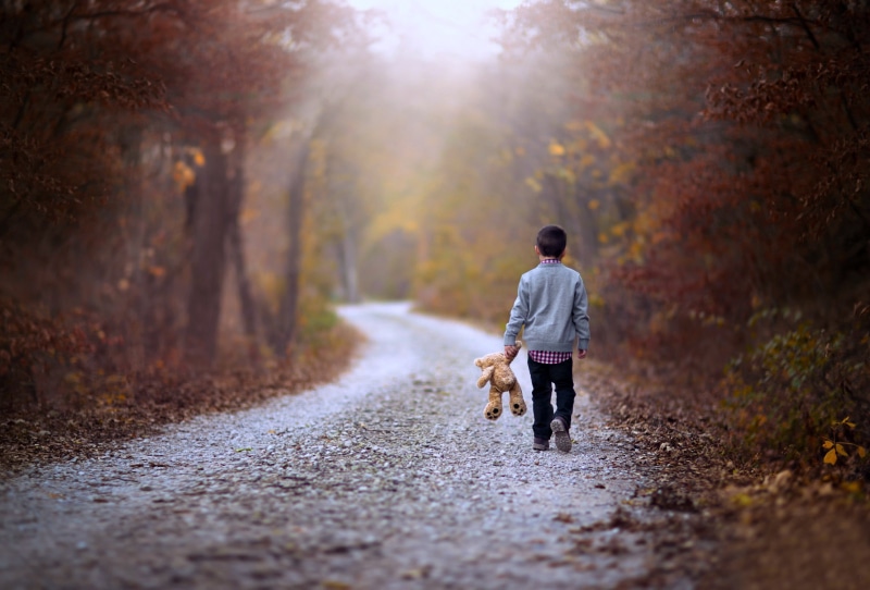 walking, Earth, alone, Forest, path, way, kids, childhood, children, nature, 4K, road, lonely, landscapes, jungle, Teddy, Bear