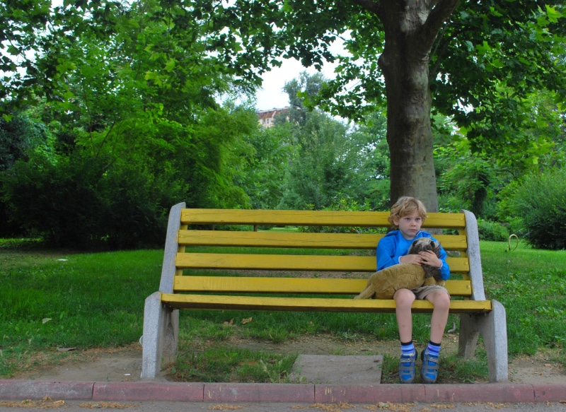 males, men, boy, pet, bench, child, alone, full length, real people, park bench, childhood, park, day, sitting, boys, front view, little boy, unhappy, plant
