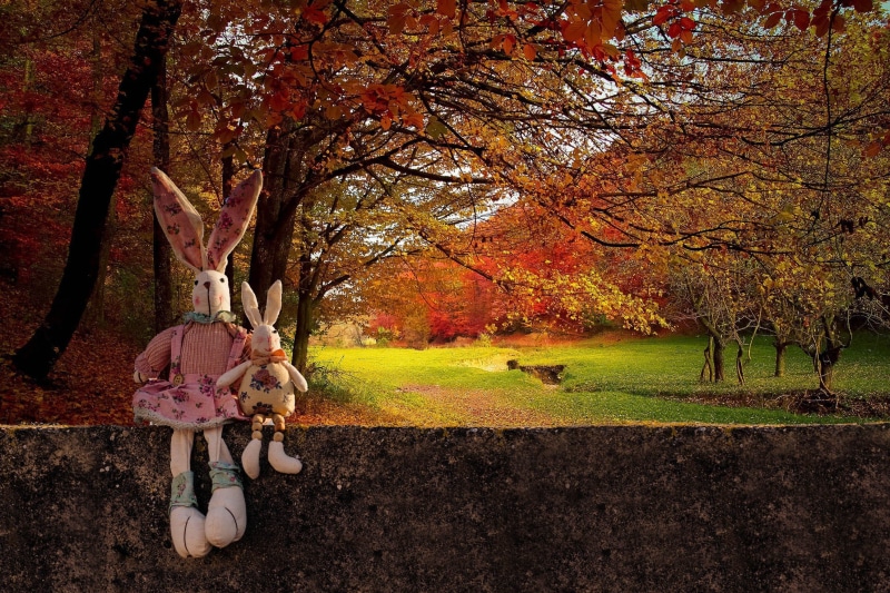 animal, outdoors, plush, hand, trunk, 2K, decoration, trees, seasonal, cute, costume, park - man made space, blue, holiday, toy rabbits, representation