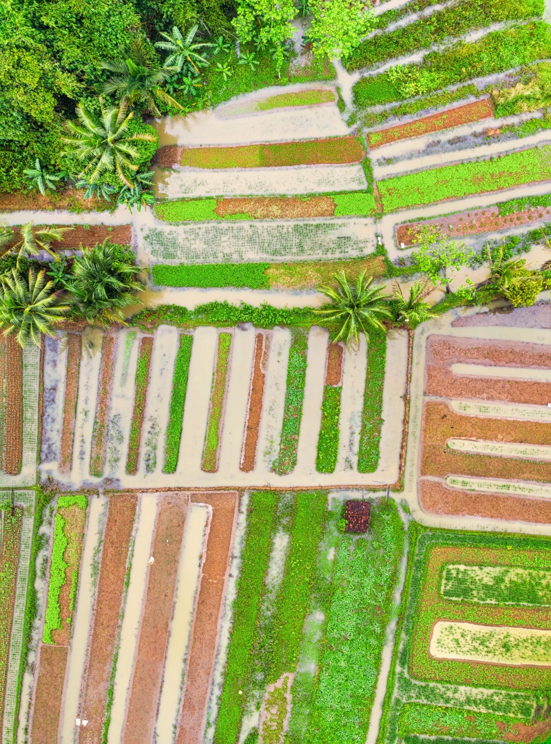 colors, old, 5K, plant, field, farmland, drone, built structure, design, cropland, background, summer, day, view, architecture, rural, town, beauty in nature