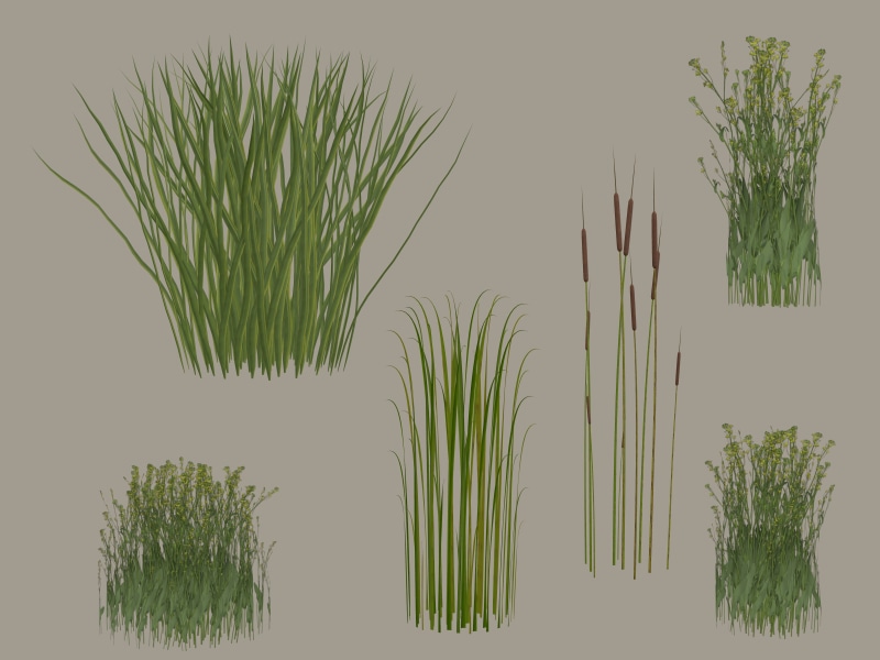 leaf, grasses, isolated, plant, tree, digital composite, growth, reeds, herb, grass, food, indoors, transparent, no people, green, green color, food and drink