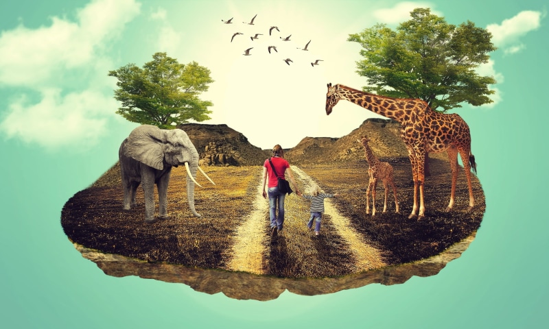 landscapephotography, lifestyles, rear view, photomanipulations, landscapedesign, adults only, adult, woman, only women, near, elephant, flying, cloud - sky