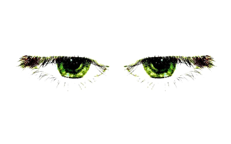 indoors, eyebrow, human body part, human face, eyes, cut out, digital composite, close-up, eyelash, white background, sensory perception, human eye, copy space
